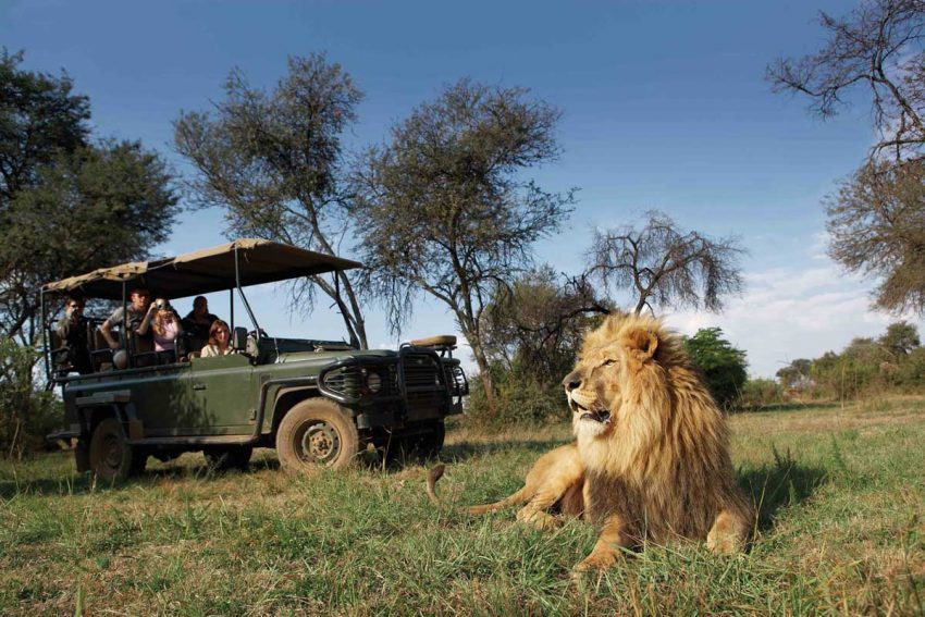 Read more about the article Tanzania Tour Prices: from Safaris to Cultural Experiences