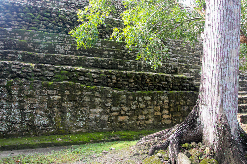Chacchoben Mayan Ruins