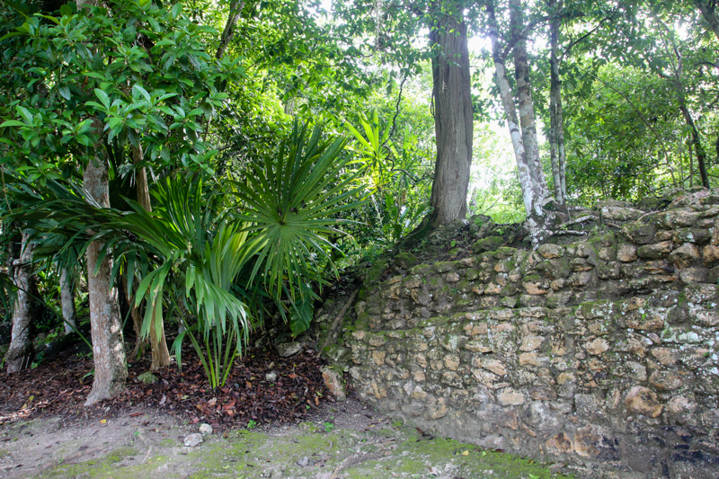 Chacchoben Mayan Ruins
