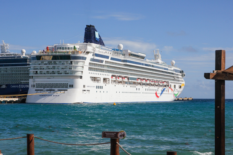 Norwegian Dawn Cruise Ship