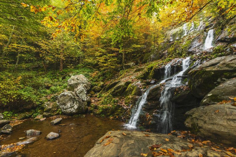 Read more about the article Spending a Weekend in Shenandoah